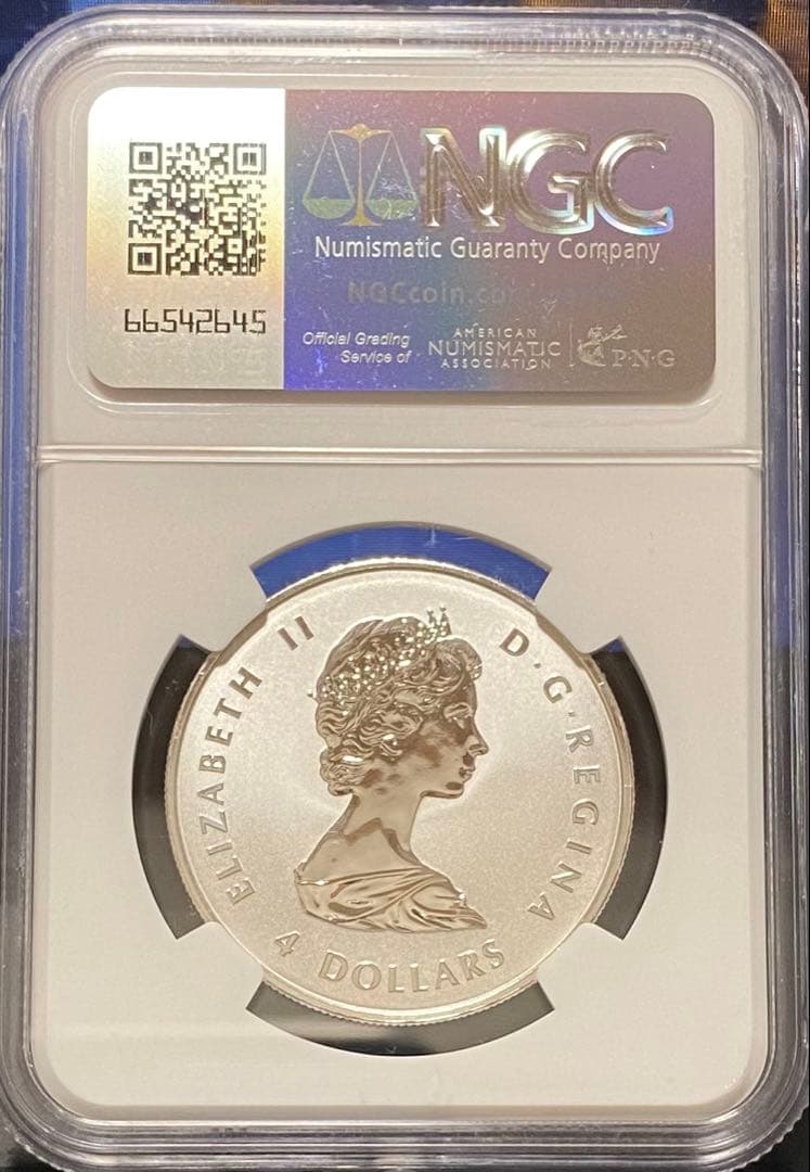 ☆ヤングファン必見☆最新2025年カナダ メイプルリーフ4ドル 1/2oz 銀貨