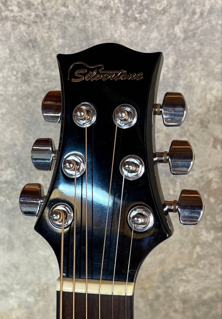 希少】KISS ポール・スタンレー Silvertone PS D1 BK - メルカリ