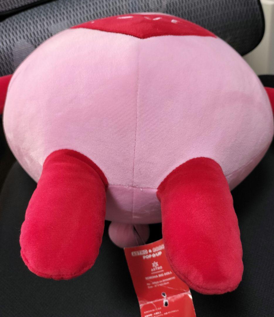 ASTRO ROROHA ぬいぐるみ NYANNYA ニャンニャ