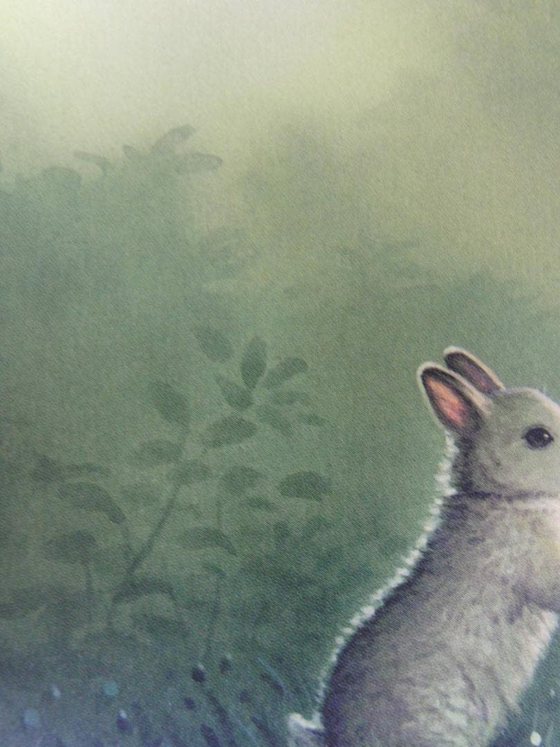 カーク・レイナート、【マジカルディ】、希少な額装用画集より、状態良好