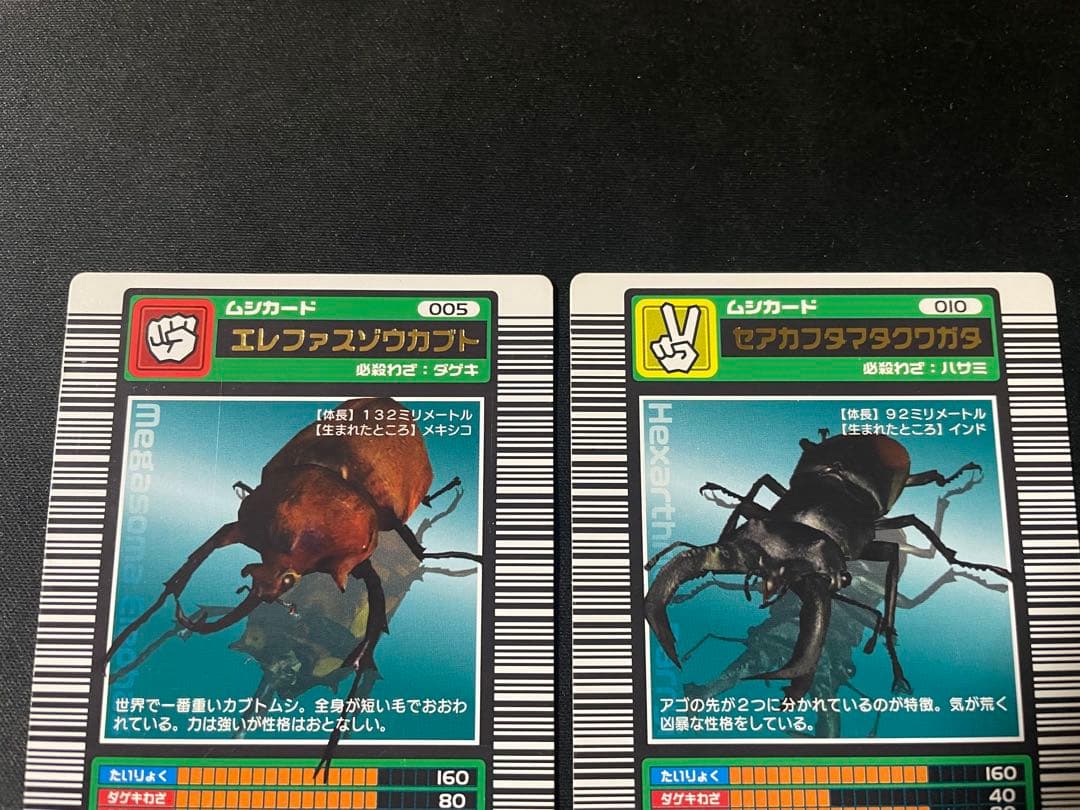 ムシキング　ロングバーコード　まとめ売り　エレファスゾウカブト　セアカフタマタ他