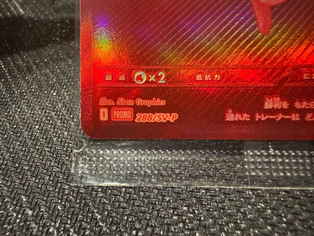 ビクティニBWR　＋　プロモカードパック　ビクティニBWR争奪戦