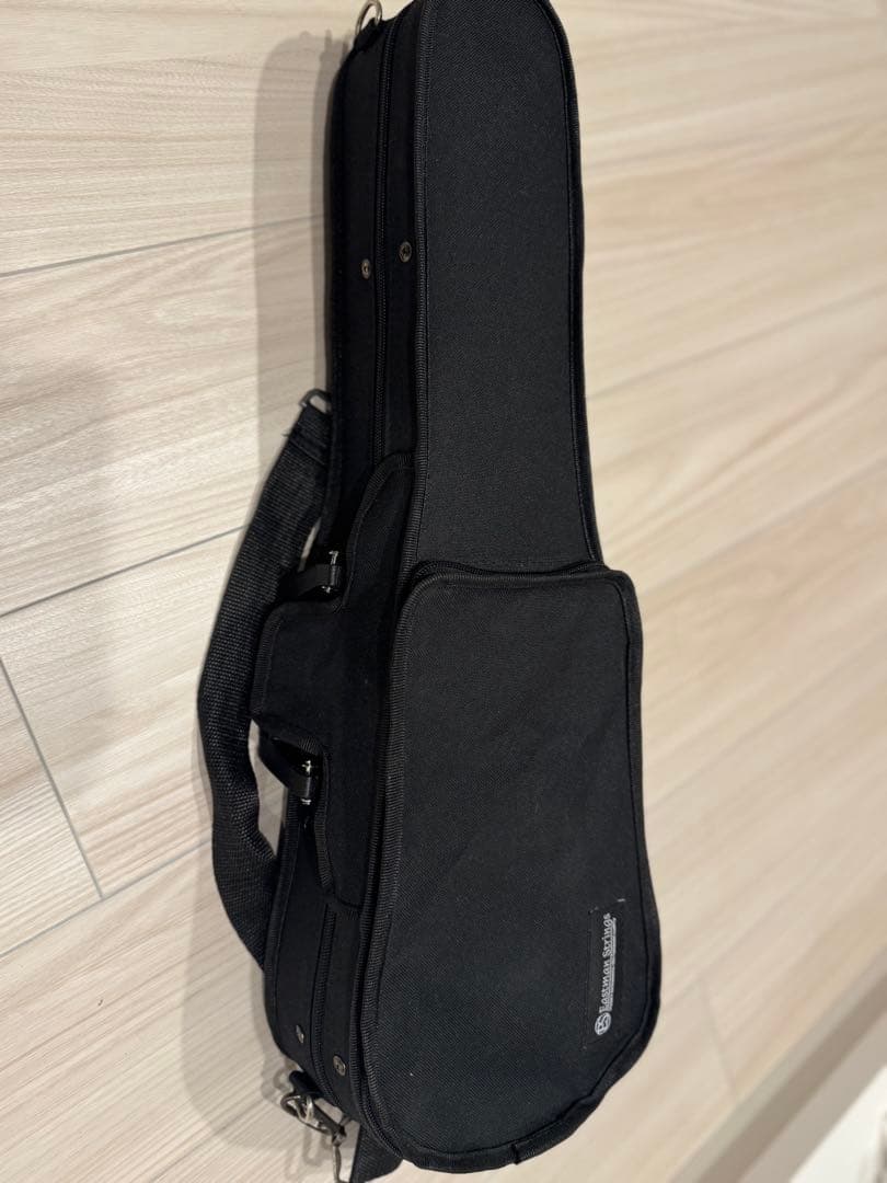 1/8バイオリン EASTMAN VL80 2018年制