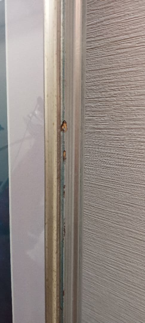 ジョン・ピトレー　『フリーダム』版画