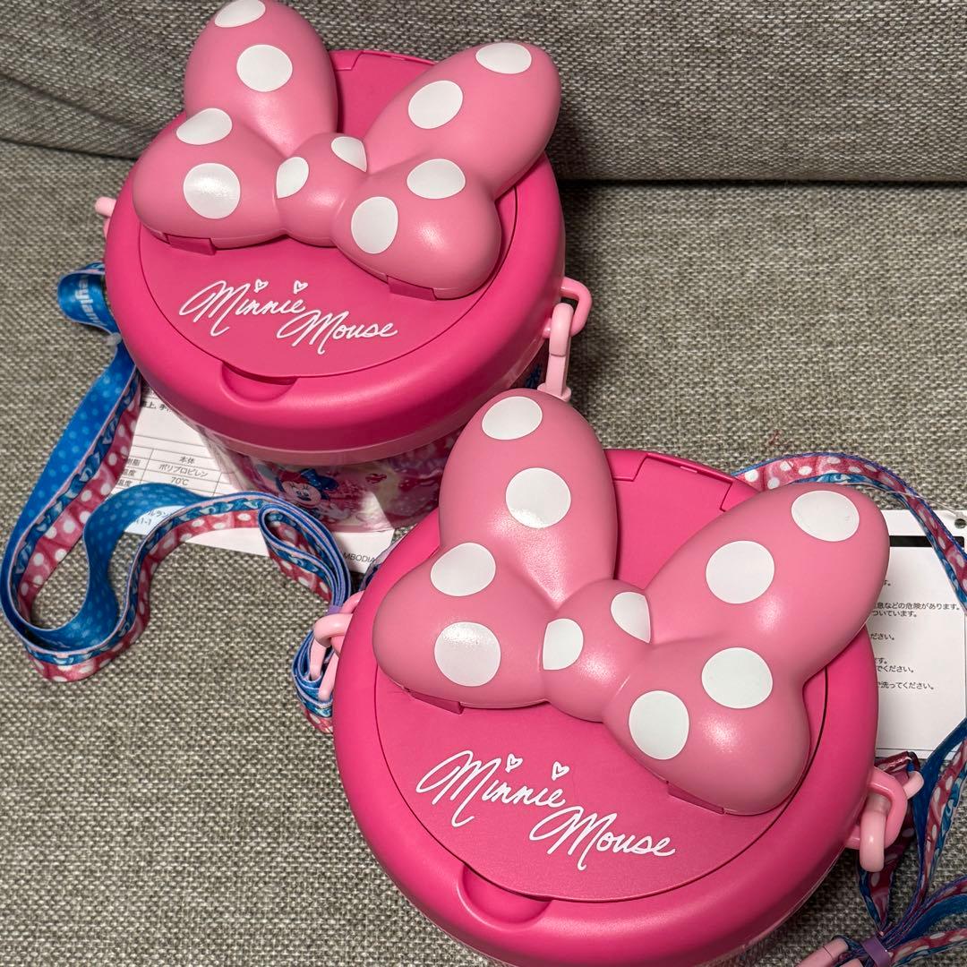 ディズニーランド ポップコーンバケット パルパルーザ ミニーのファンダーランド