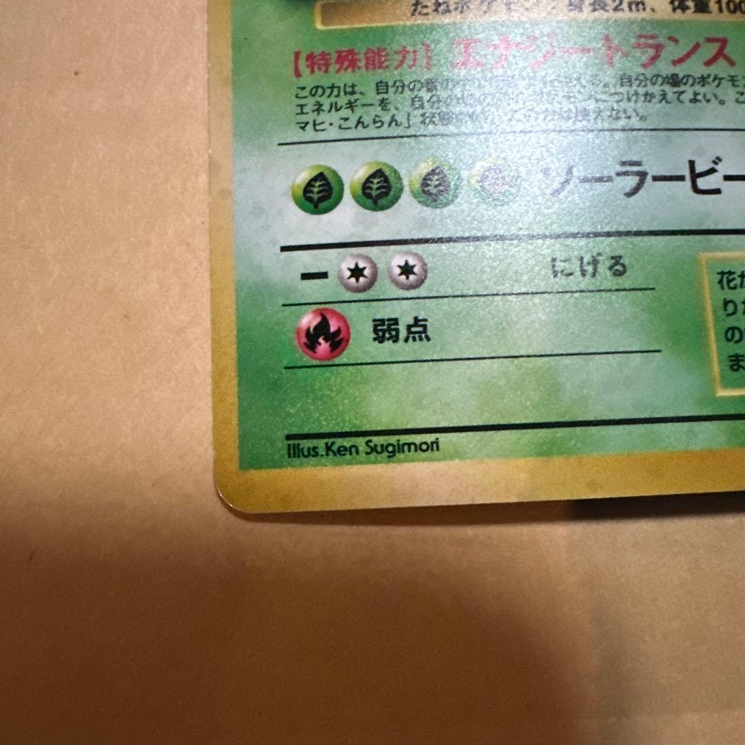 ポケモンカード 旧裏 フシギバナ カメックス イントロパック