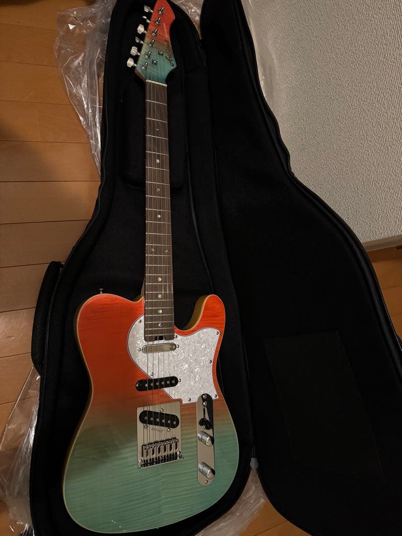 Aria Evergreen Aria Pro II限定モデルオリジナルケース付 Aria Evergreen Aria Pro II限定モデルオリジナルケース付 Aria