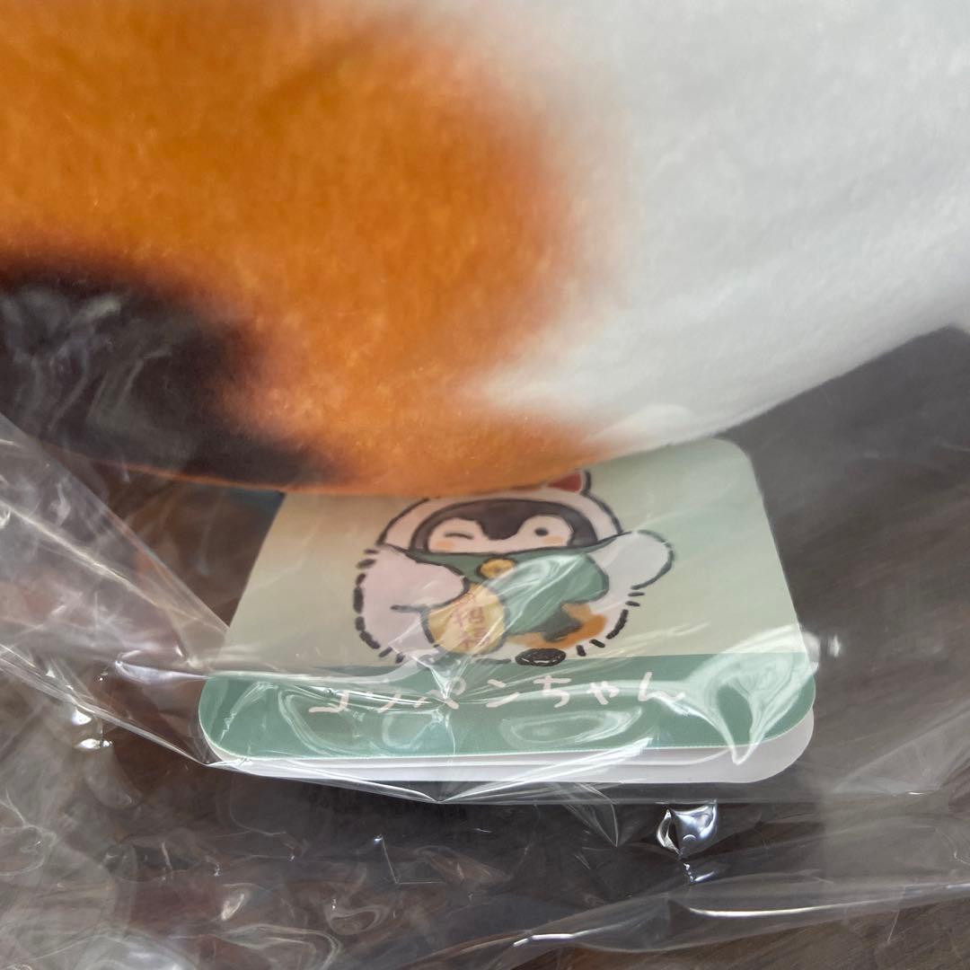 コウペンちゃん　幸運くじ　A賞　B賞　C賞　D賞　E賞