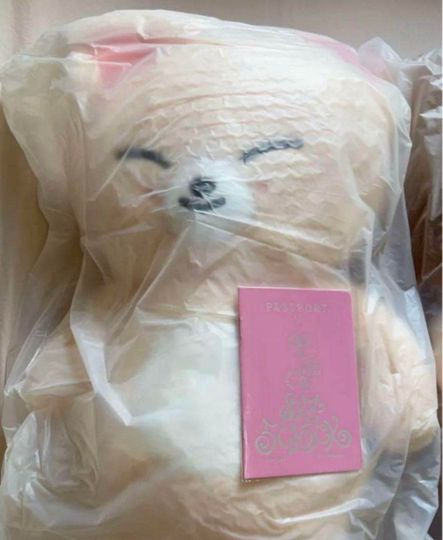 StrayKids スキズ SKZOO テディベア フォクシニー アイエン StrayKids スキズ SKZOO テディベア フォクシニー アイエン Stray Kids