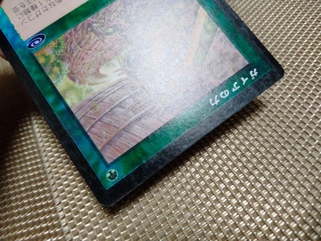 【ご確認用】プレーンシフト foil ガイアの力 日本語 1枚　MTG