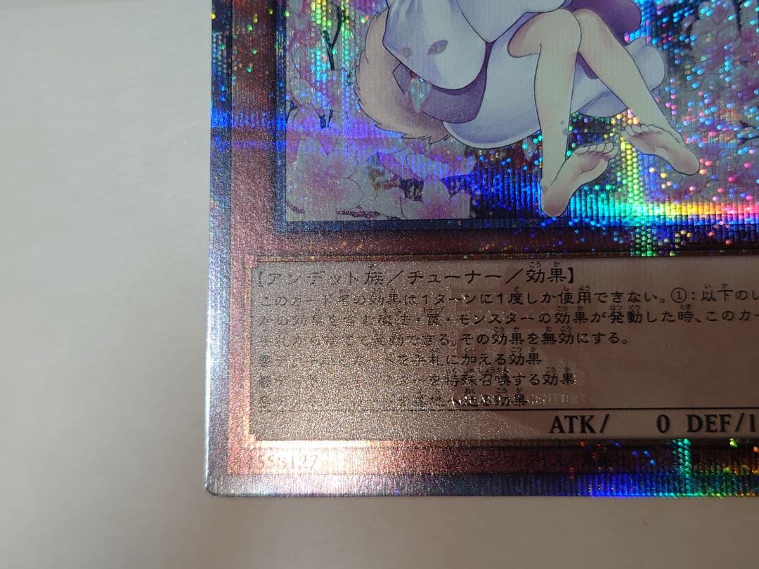 遊戯王　灰流うらら　絵違い　クオシク