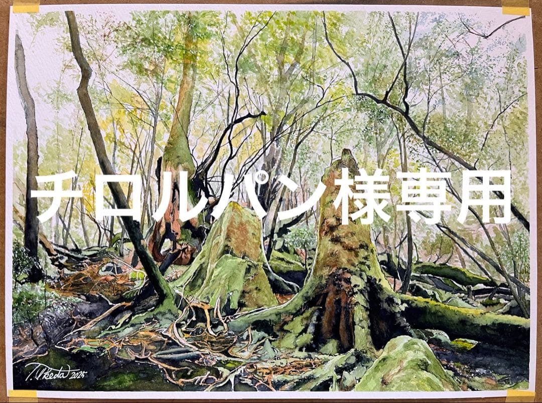 本日特価】吉祥高照 花鳥画 掛け軸｜三尺 中堂 大幅・和室 茶室向け