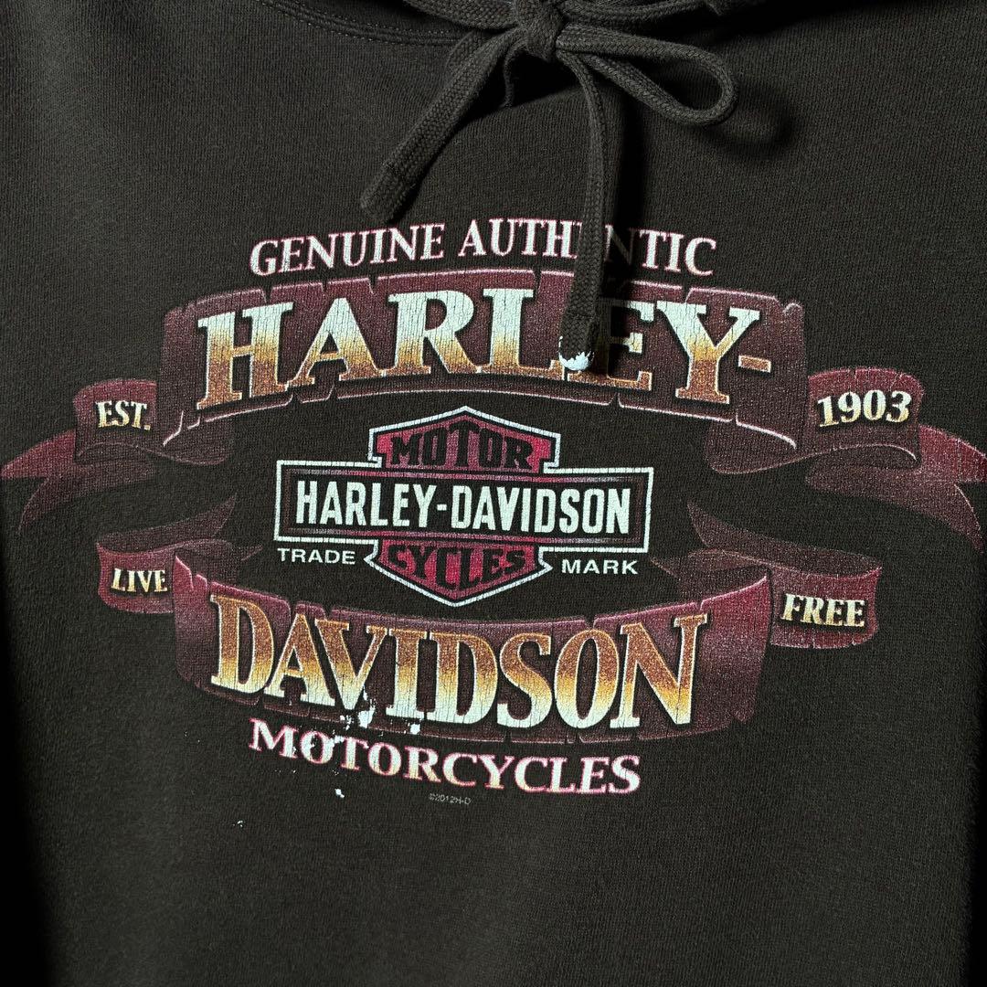 HARLEY-DAVIDSON プルオーバーパーカー　袖プリント　No1 スカル