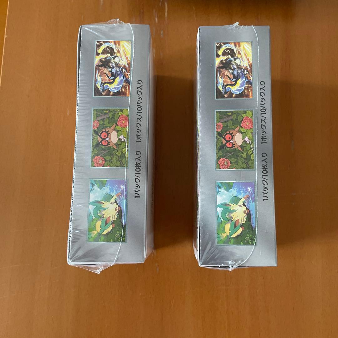 シュリンク2個セット】ポケモン テラステルフェスEX ポケモンカード