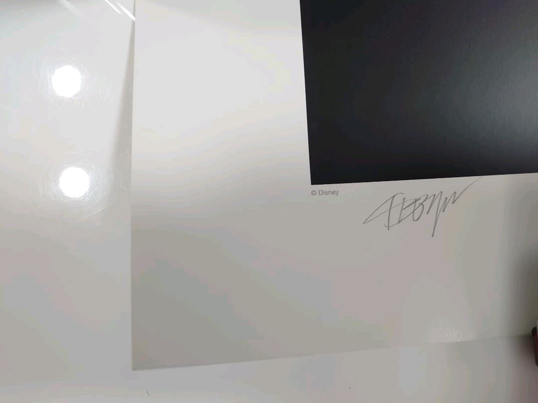 ディズニーワールド 直筆サイン 2000 限定 ポスター リトグラフ パレード