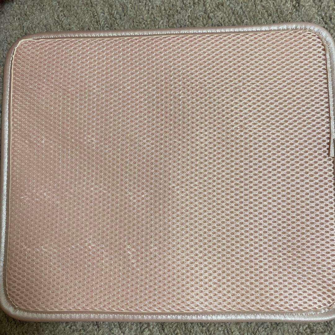 オーロラレースBIG姫痛バ ピンク パルエルフィー