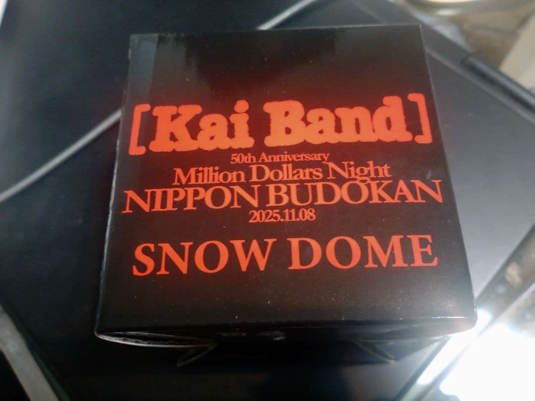 ○甲斐バンド、日本武道館ライブ VIP特典 Snow Dome - メルカリ