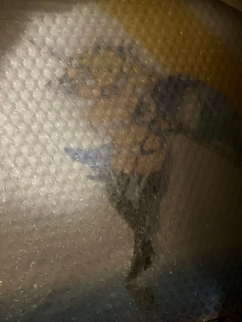 ファンタシースターオンライン2 es 清夏のジェネ [サマーバケーション