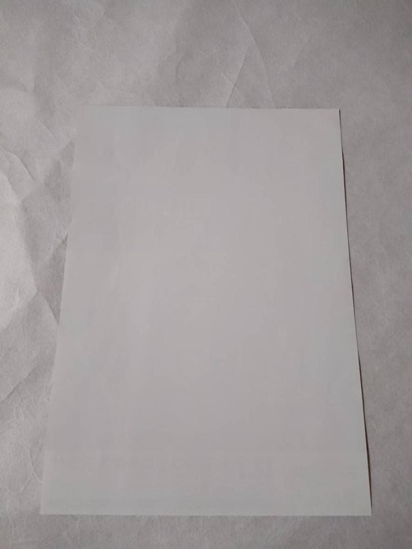 ☆矢沢永吉・2011年・福井フェニックスプラザ・B5サイズチラシ - メルカリ