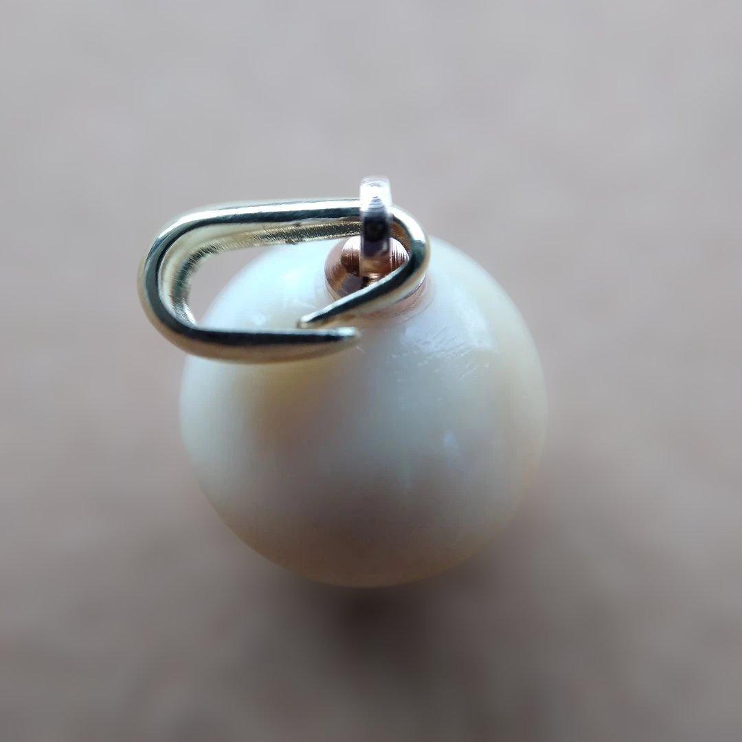 鯨歯 マッコウクジラ 牙玉ペンダントトップ 11.5㎜ ⑧ - メルカリ