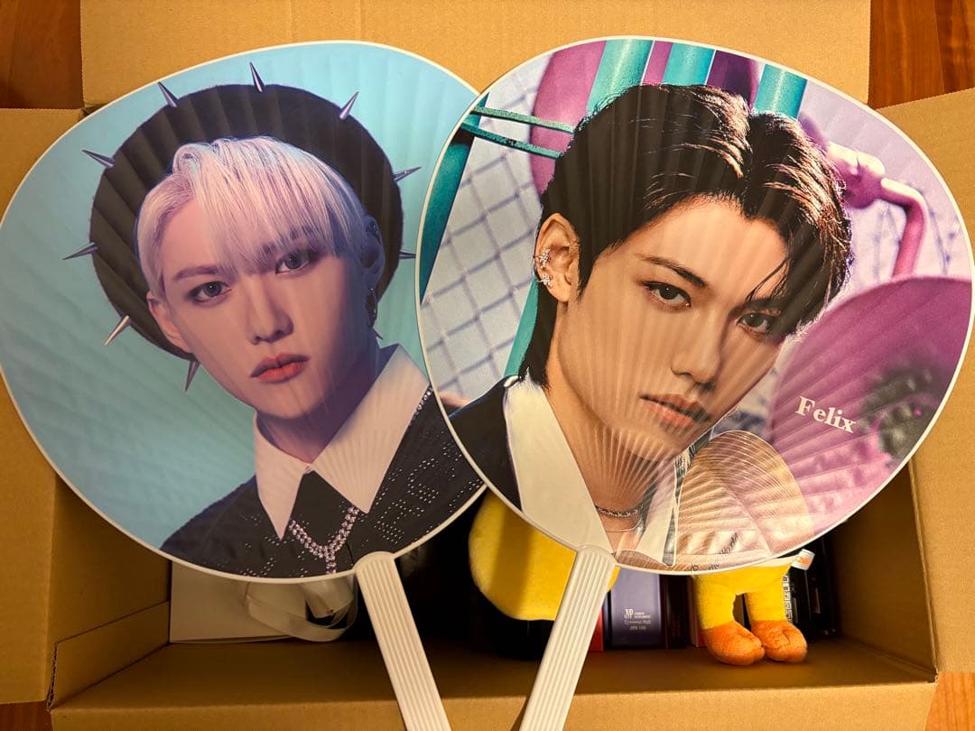 Stray Kids アルバム・ペンライト・うちわ・SKZOOセット Stray Kids