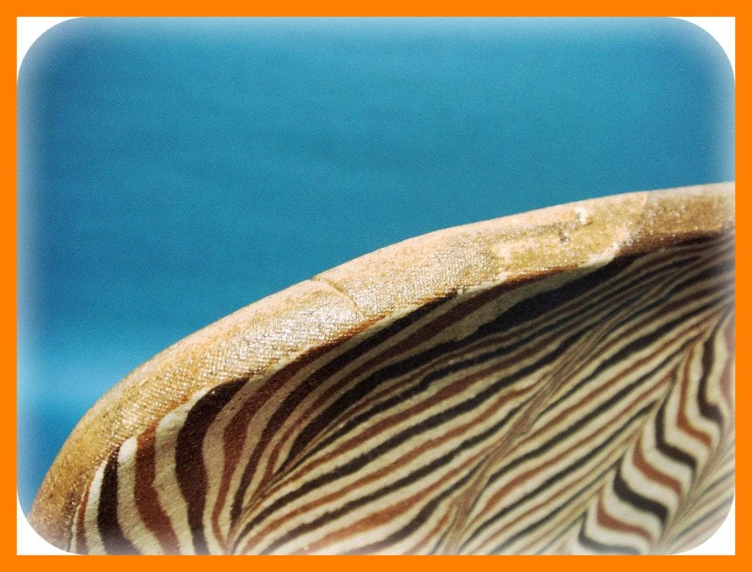 446『練上手 皿』 /骨董品 古美術 古玩 アンティーク