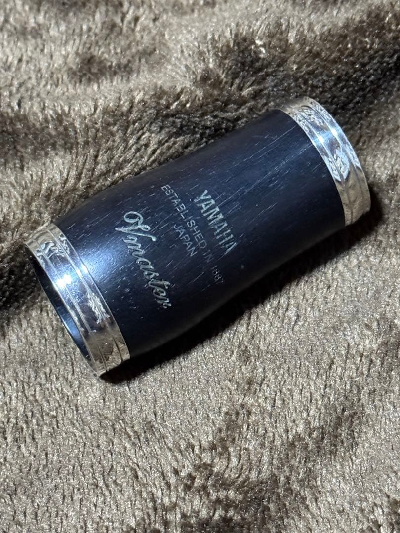 美品 未使用 貴重 海松 黒珊瑚 原木 周囲約10センチ