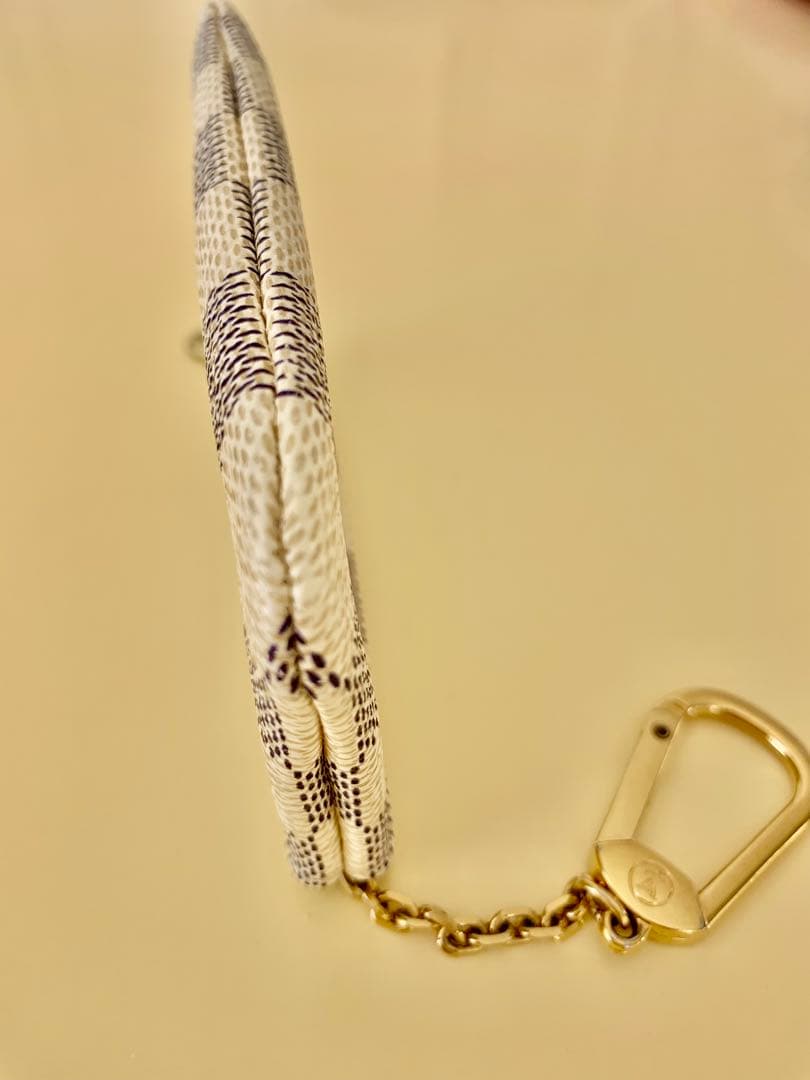 Louis Vuitton ダミエ・エベヌ ケース