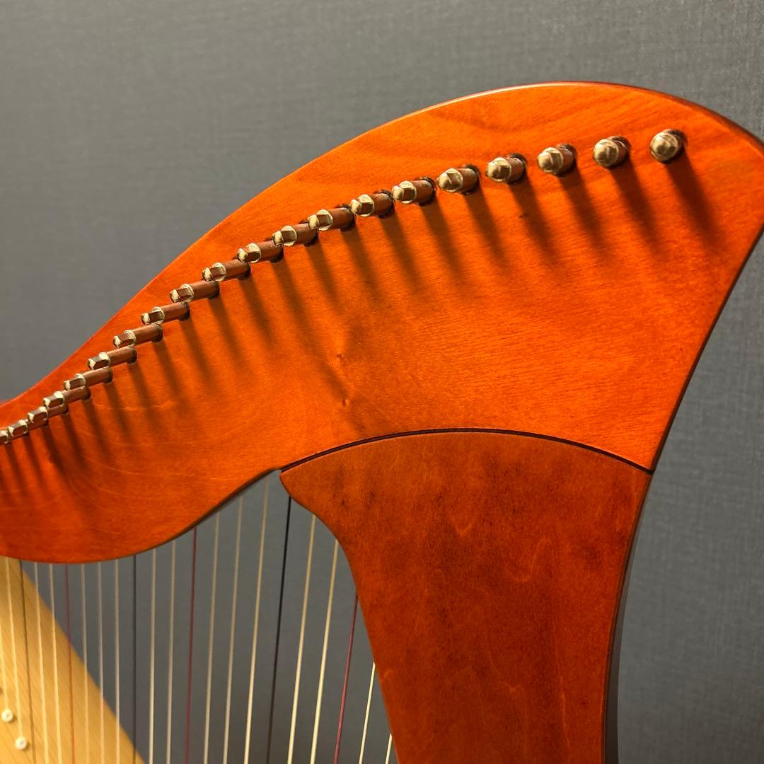 ♪Salvi レバーハープ34弦♪Mia(３年)総額44万相当ソフトケース付