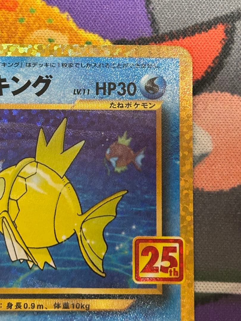 ひかるコイキング 25th