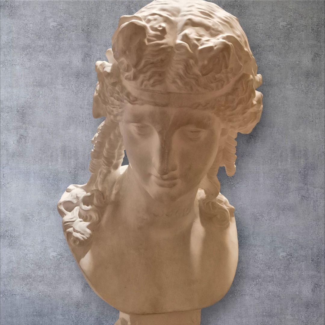 石膏像 アリアス胸像 デッサン - メルカリ