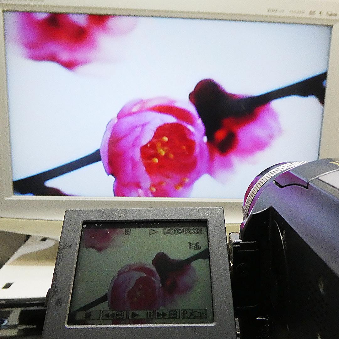 動作品 ソニーDCR-PC300 MiniDV ビデオカメラ DVDダビングに