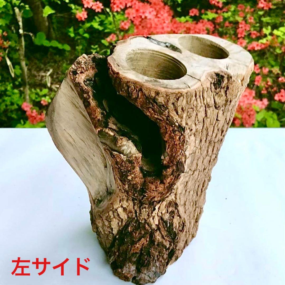 天然樹洞 クワリウム 大型隠れ家 エサ皿クワガタ シェルター 登り木