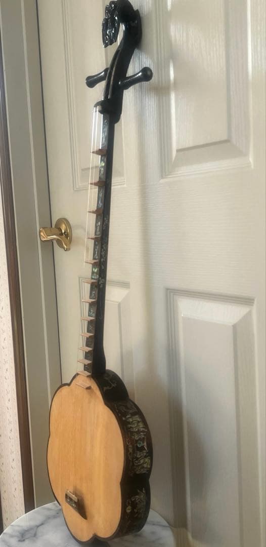 ダン・セン　ベトナム２弦琴　民族楽器 弦楽器　馬頭琴　螺鈿　工芸品　希少