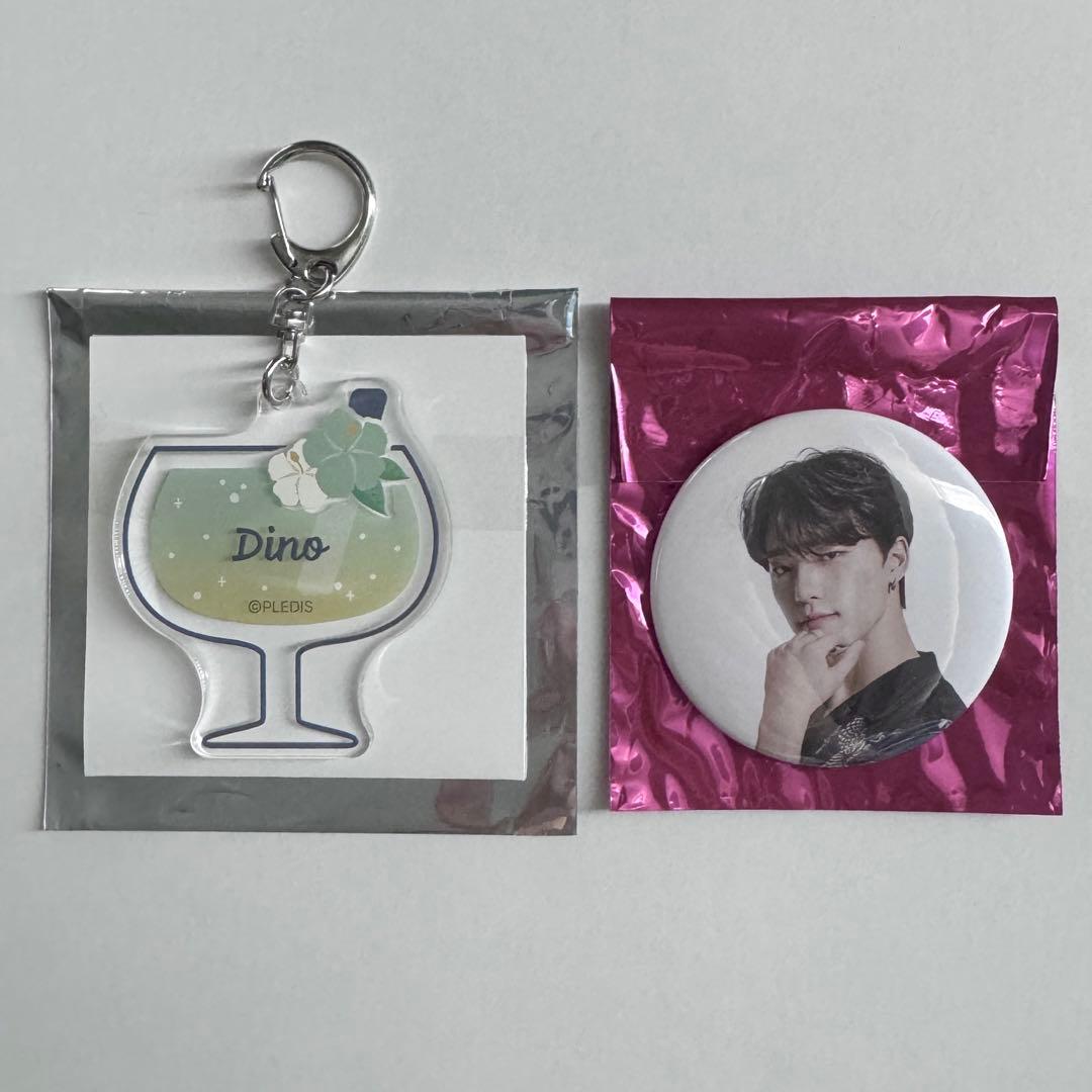 SEVENTEEN セブチ ディノ バラ売り トレカ キーリング