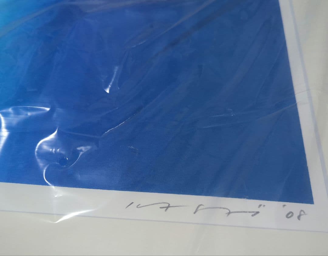 【美品】笠井 正博 光の森 08大型