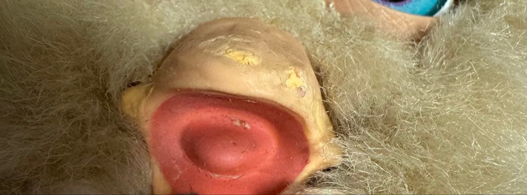 ファービー 2 可動品　電池蓋なし