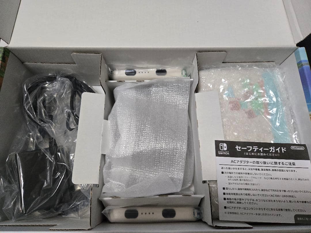 Nintendo Switch あつまれどうぶつの森セット　　※ソフト無