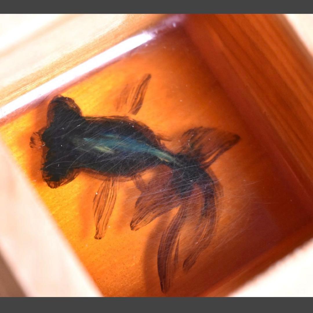 真作 サイン入り】深堀隆介 金魚酒 2004年制作 - メルカリ