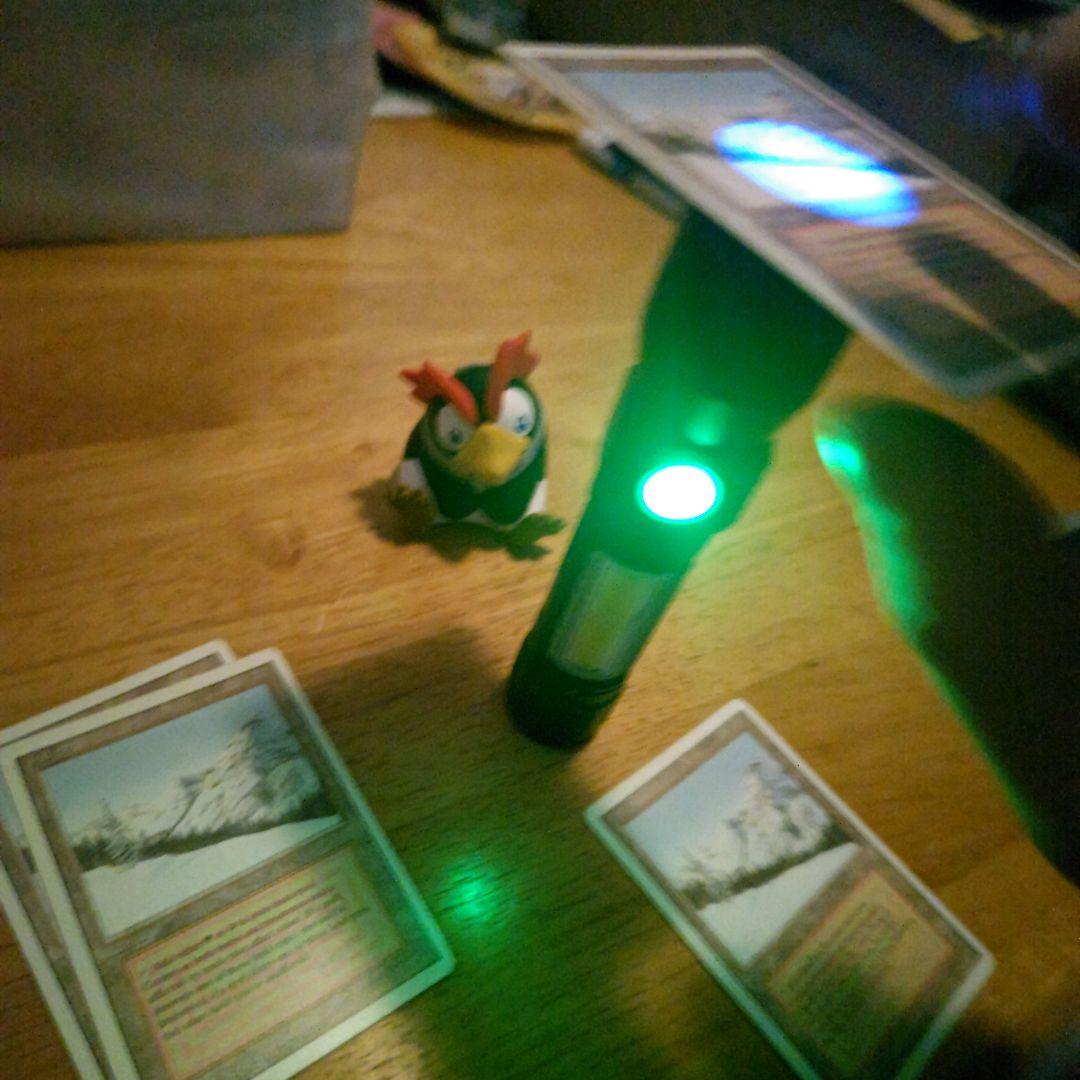 【断捨離】MTG 悲しみのtaiga 4枚