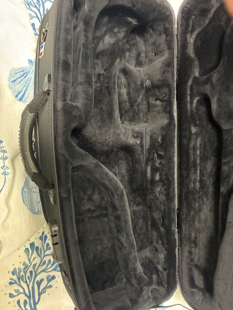 さ*し様 セルマーパリ　ライトケース　アルトサックス用　レインフードをお付けしま