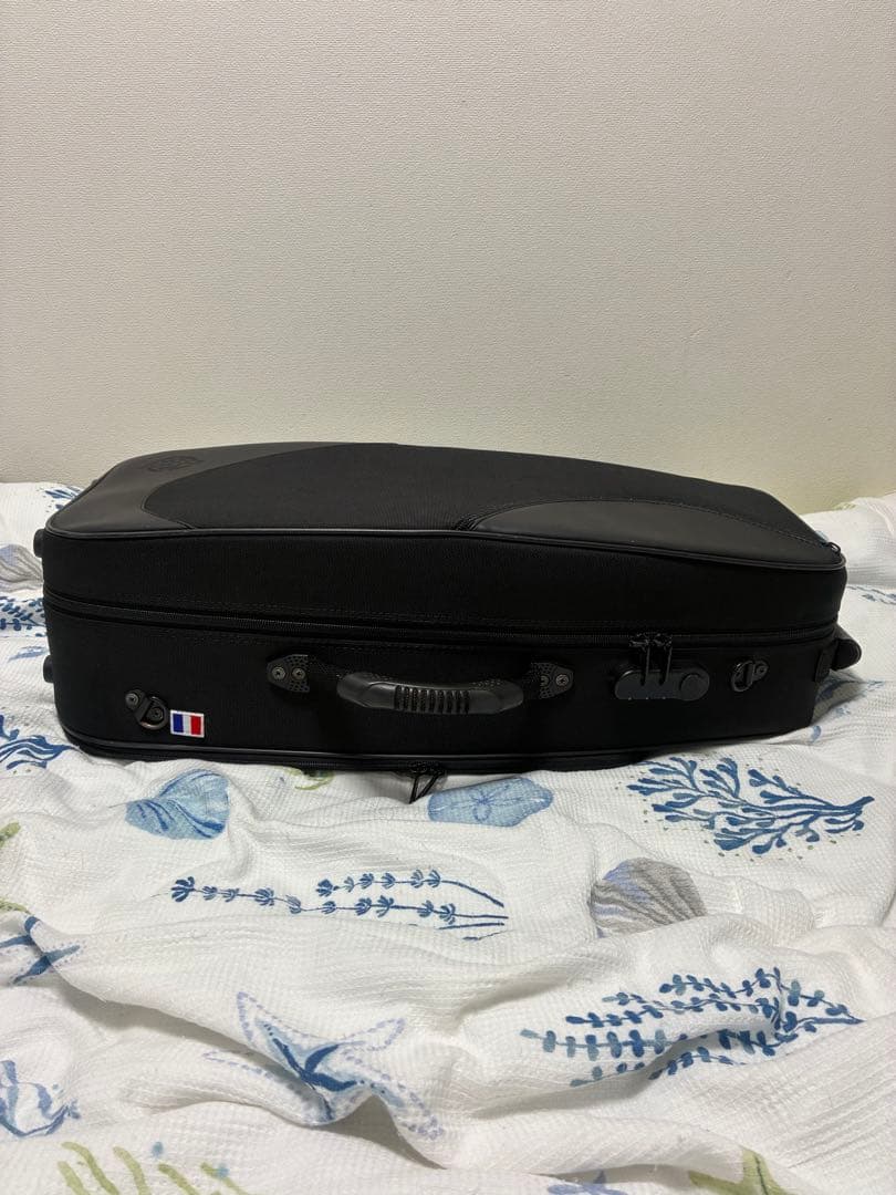 さ*し様 セルマーパリ　ライトケース　アルトサックス用　レインフードをお付けしま