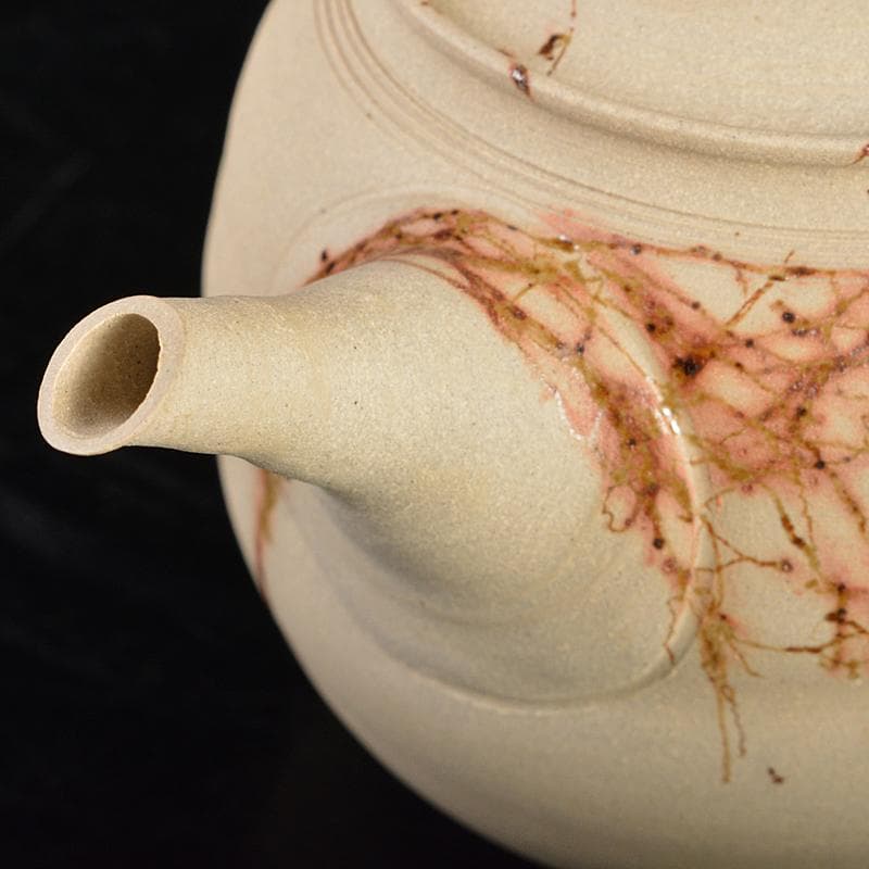 煎茶道具　常滑焼　谷川仁作　白泥藻掛　茶器　急須　茶碗　共箱　D　R5730