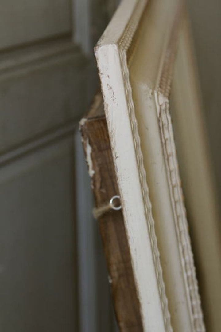 アンティーク標本 貝 珊瑚 海藻 アートフレーム イタリアフィレンツェ