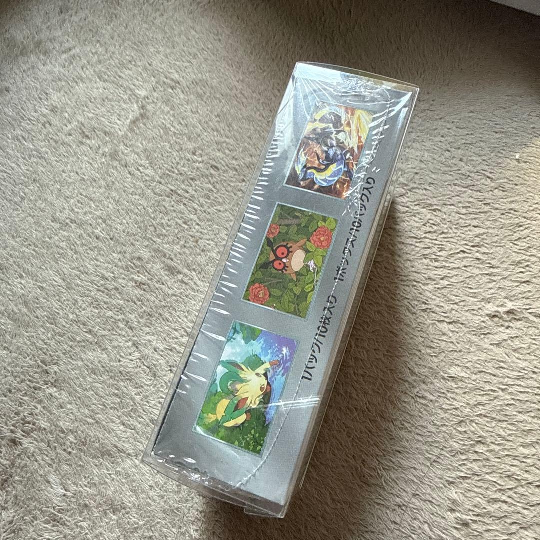 テラスタルフェスEX BOX