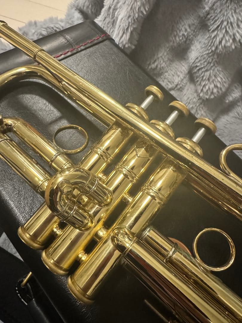 Bach トランペット　NEW YORK #7 GOLD