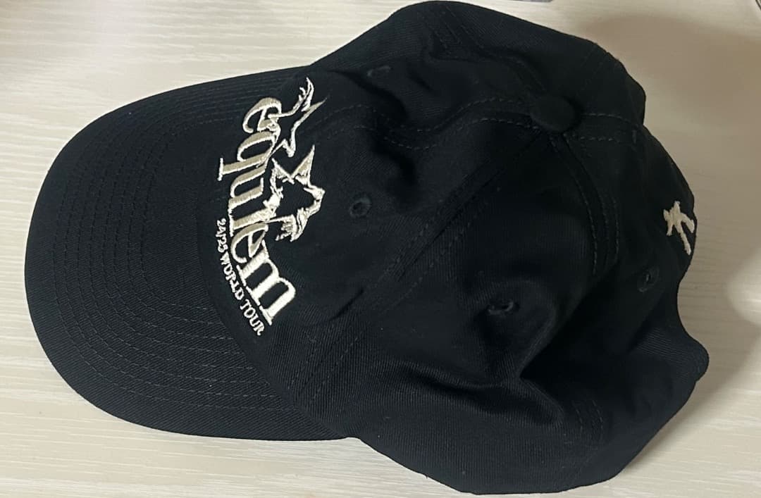 keshi ケシ ライブ 日本 VIP グッズ パス キーチェーン 帽子 バック