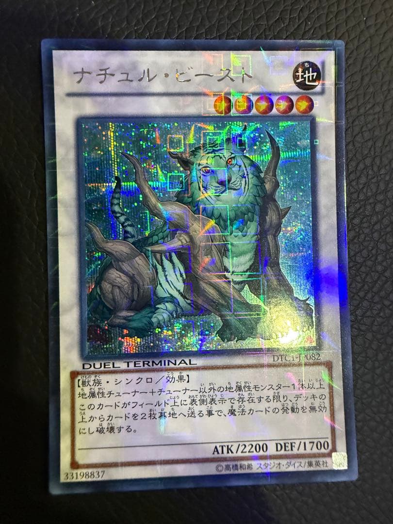 ナチュル・ビースト　dtc