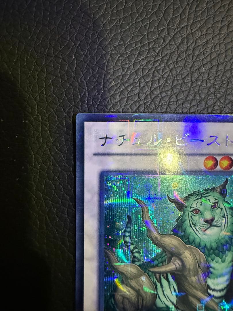 ナチュル・ビースト　dtc