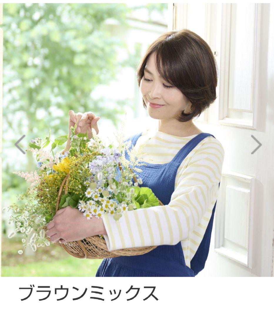 【新品未使用】アートネイチャージュリア　オージェ　ウィッグ　ブラウンミックスです